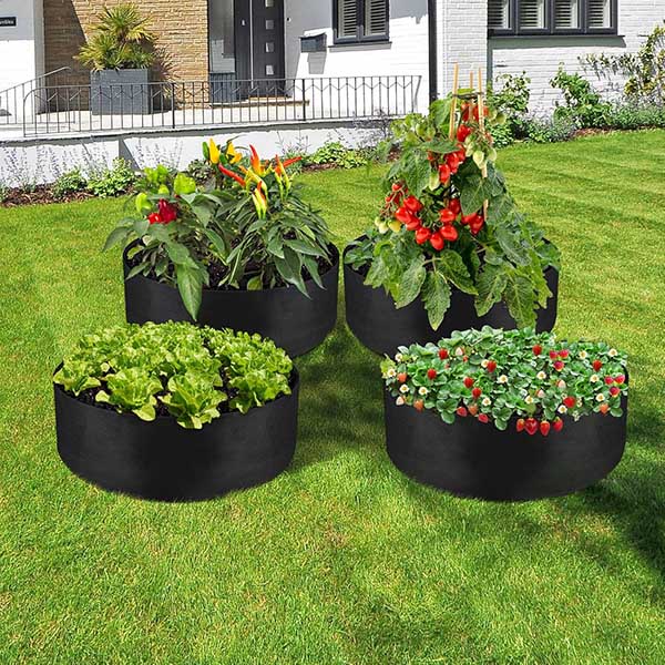 PLANTIE13754__882769a0